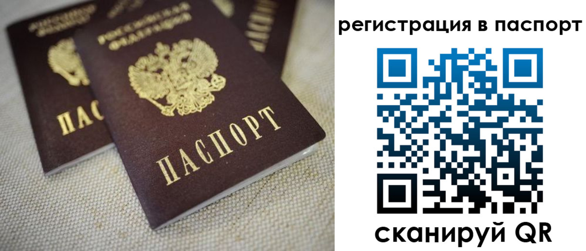 прописка гарантия в Щучье